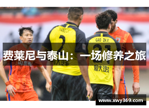 费莱尼与泰山：一场修养之旅